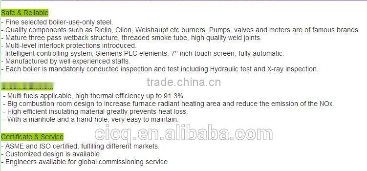 gas or oil steam boiler