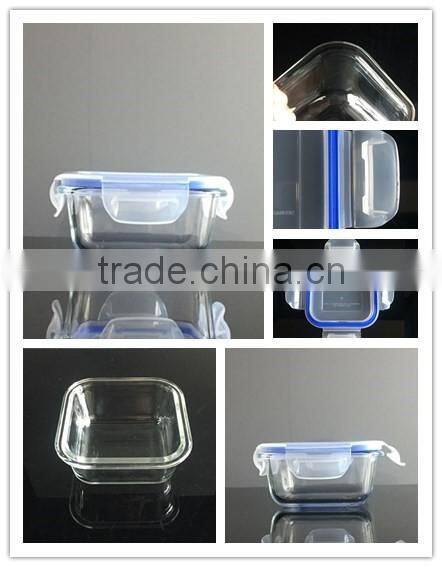 Hi-borosilicate glass tiffin lunch box with lock