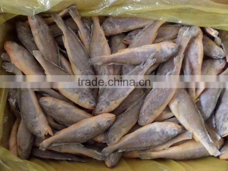 frozen fish seafood little yellow croaker