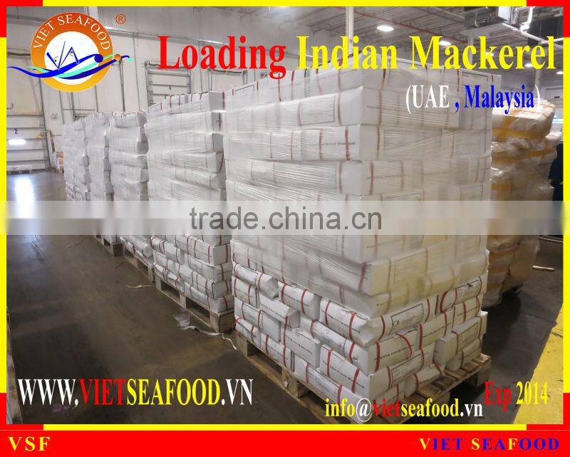 LOADING INDIAN MACKEREL