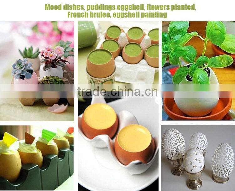 cheap wholesale high quality stainless steel open the egg apparatus