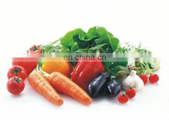 Fruit Cleaning Equipment vegetable washing machine industrial fruit washer