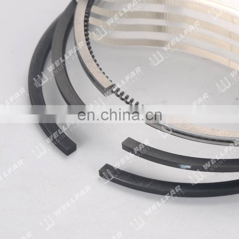 Piston ring use for Renault 1.9L Diesel F8Q Clio R19 80mm