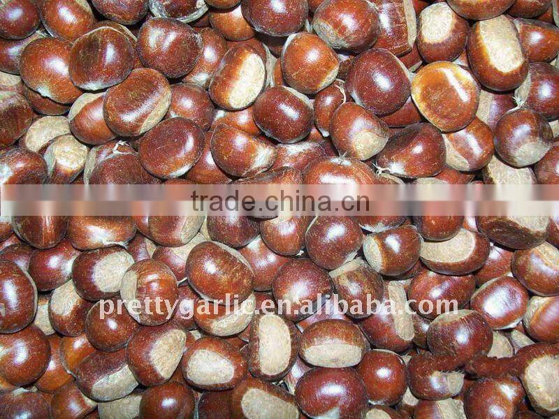 Chinese fresh chestnuts
