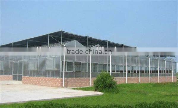 wholesale pc hollow sheet greenhouse
