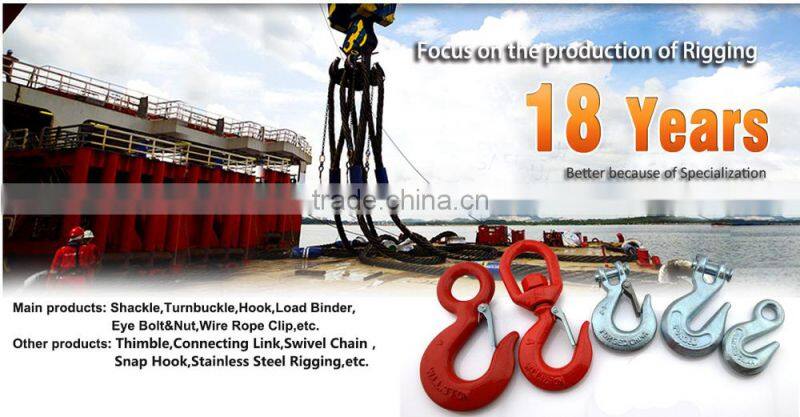 S320 Drop Forged Alloy Steel Eye Hook with Latch