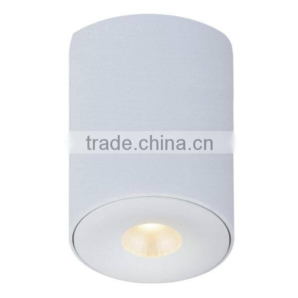 name board CE&SAA fantastic performance led ceiling mount light ,led ceiling mount light