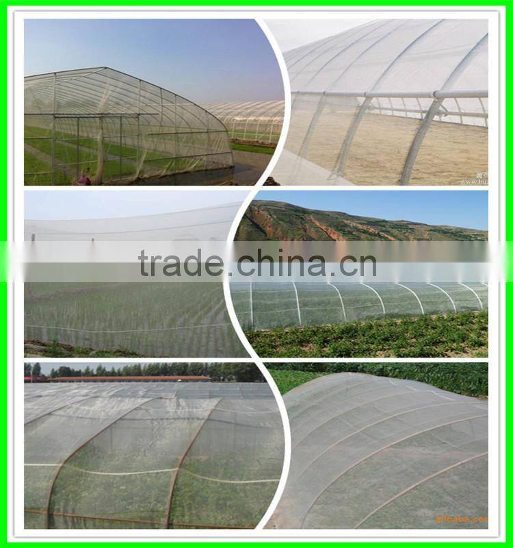 100% HDPE Anti Insect Netting
