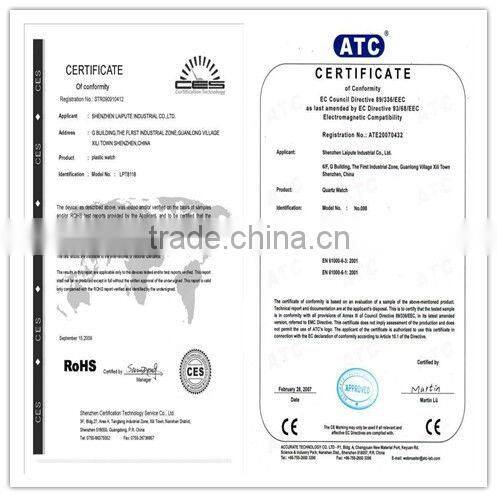 Charm cheap fashion lady watch