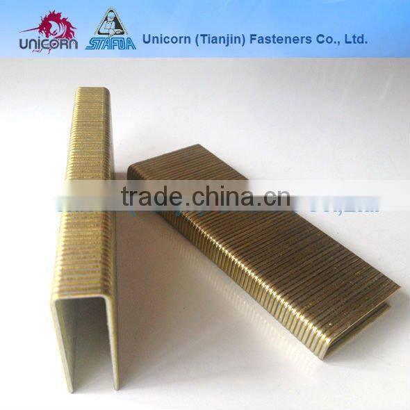 N21 2'' leg Galvanized Chisel point staples