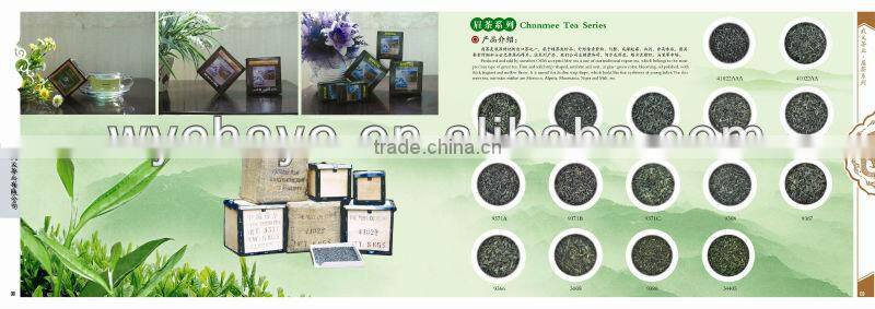 Brewing China green tea gunpowder 9375 zhejiang tea stock 2013