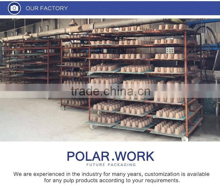 Environmental disposable paper pulp food packaging