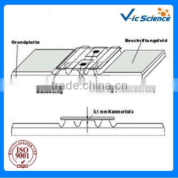 Polytype Blood Counting Chamber with Bright Line
