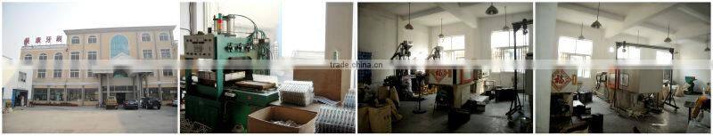 Practical Adult Toothbrush Daily-use Toothbrush