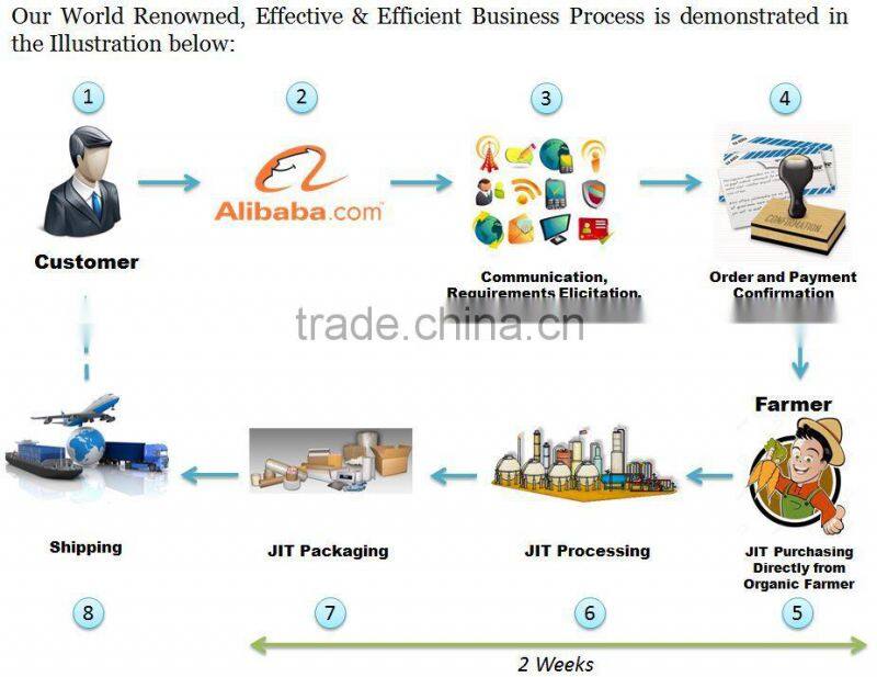 Organic Mango Fruit Bar