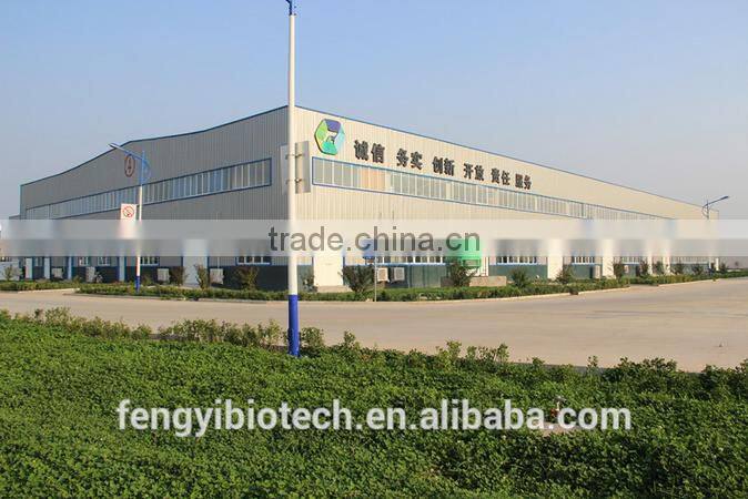 Paintball Balls/Gun Paintball From Shijiazhuang Supplier