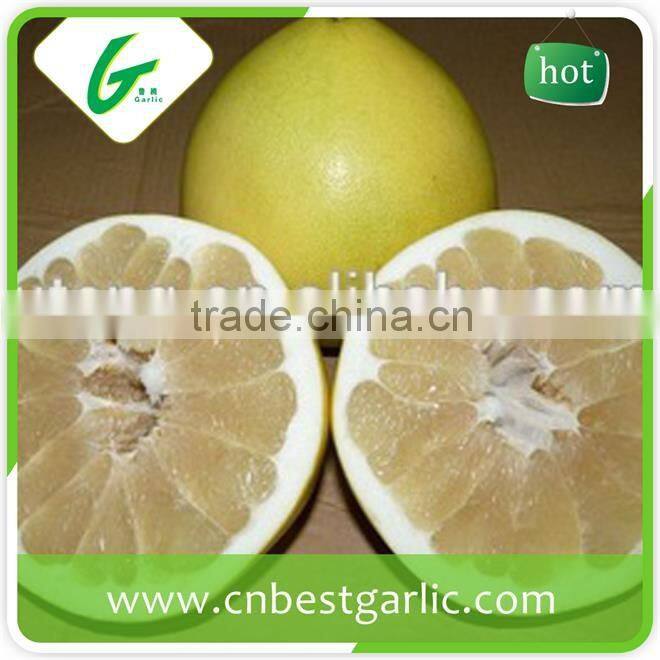 Fresh sweet honey pomelo in box