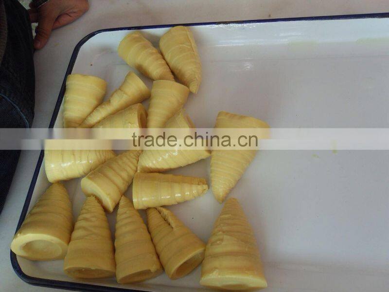 canned vegetable canned bamboo shoot strip from fresh material