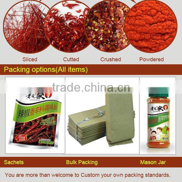 ground rhizoma kaempferiae