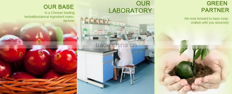 Pure Cranberry Prices,100% ID Vaccinum Macrocarpon,Proanthocyanidins 5%,10%,15% BL-DMAC;25%,40%,95% UV EP Method