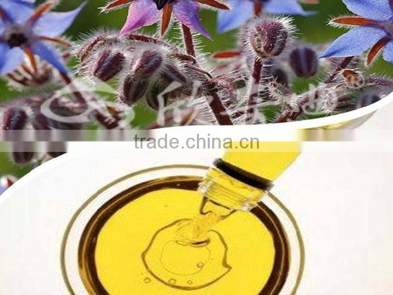 Virgin Borage Oil healthcare supplement