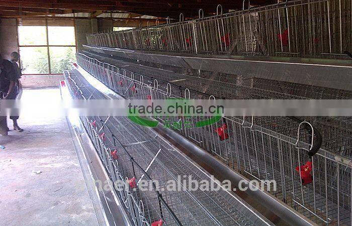 3 tiers galvanized Poultry cage for Nigeria/Tanzania poultry farm