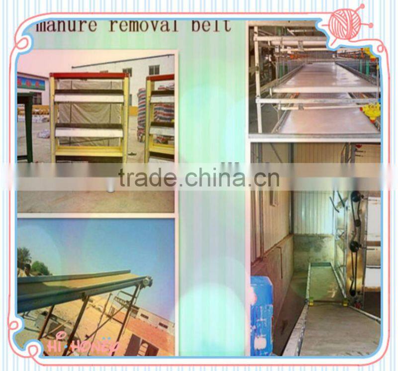 automatic belts poultry manure removing system
