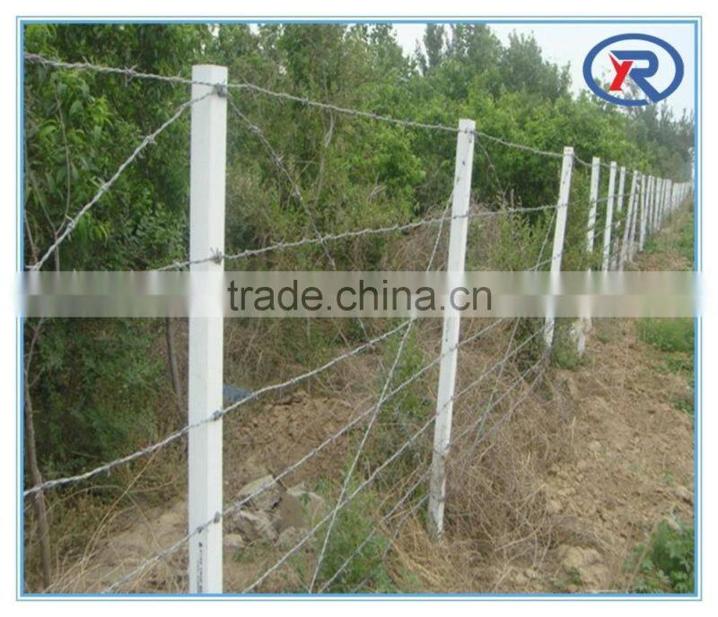 wholesale China trade best low price electro and hot dipped galvanized barbed iron wire