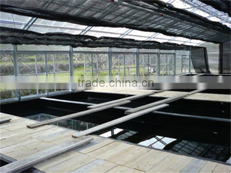 Multi-Span Greenhouse With Aquaponics Growing Systems For Agricultural Planting