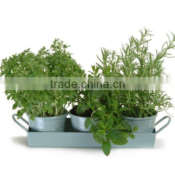 Oval colour painted metal flower planter with handles