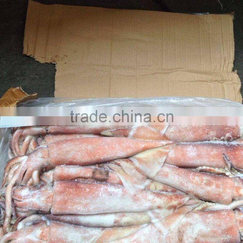 200-300g Frozen Seafood Japanese Flying Squid