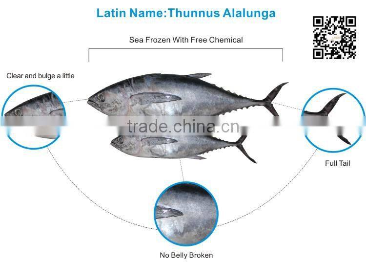 Health Seafood Albacore Tuna lot number#kmw4005
