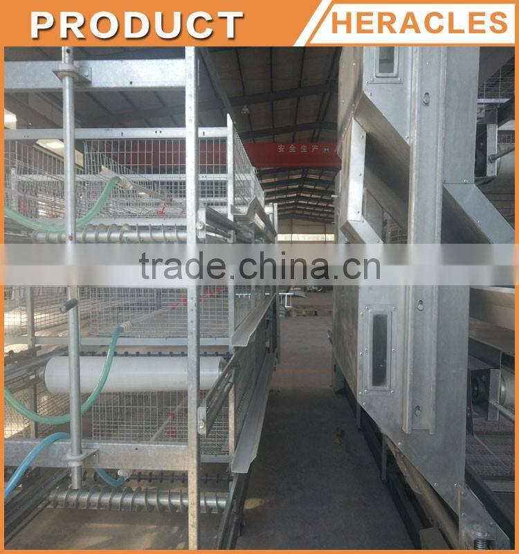 Heracles trade assurance layer chicken cage-- 3 layers chicken poultry farm equipment