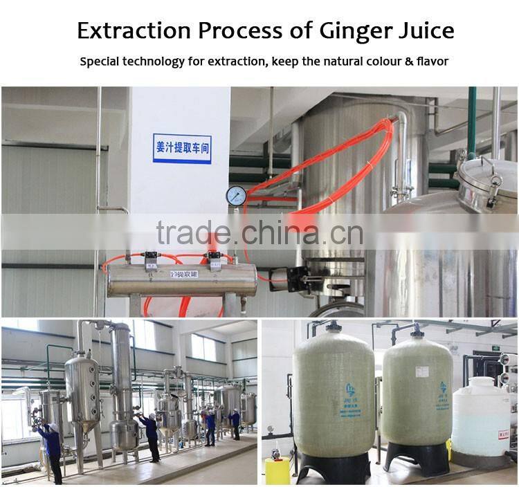 Lemon slimming ginger tea natural ginger tea ginger herbal tea