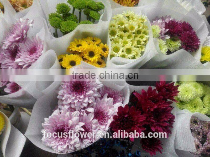 fresh cut flower chrysanthemum Grade A with multi colors from Kunming