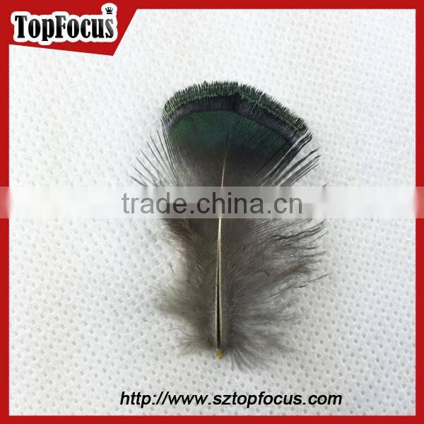 new hot carnival costume trimming fringe green pheasant feathers prices