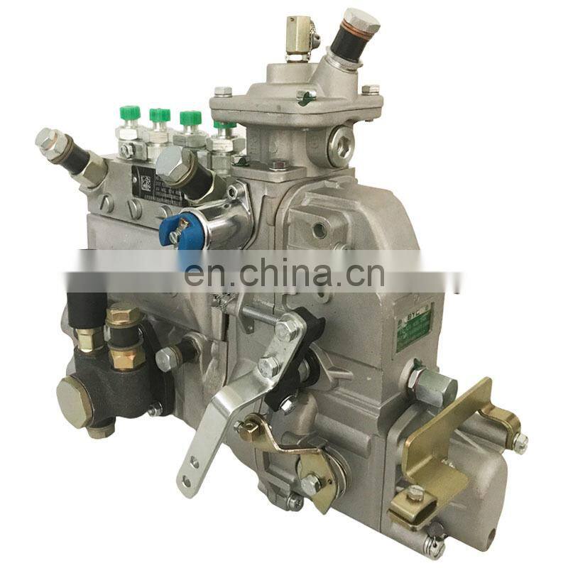 ASIMCO Injection Pump 10 402 374 104 10402374104 CPES4AD100D320RS2199 Pump