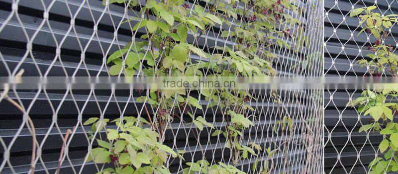 2mmx50mm stainless steel rope mesh green wall