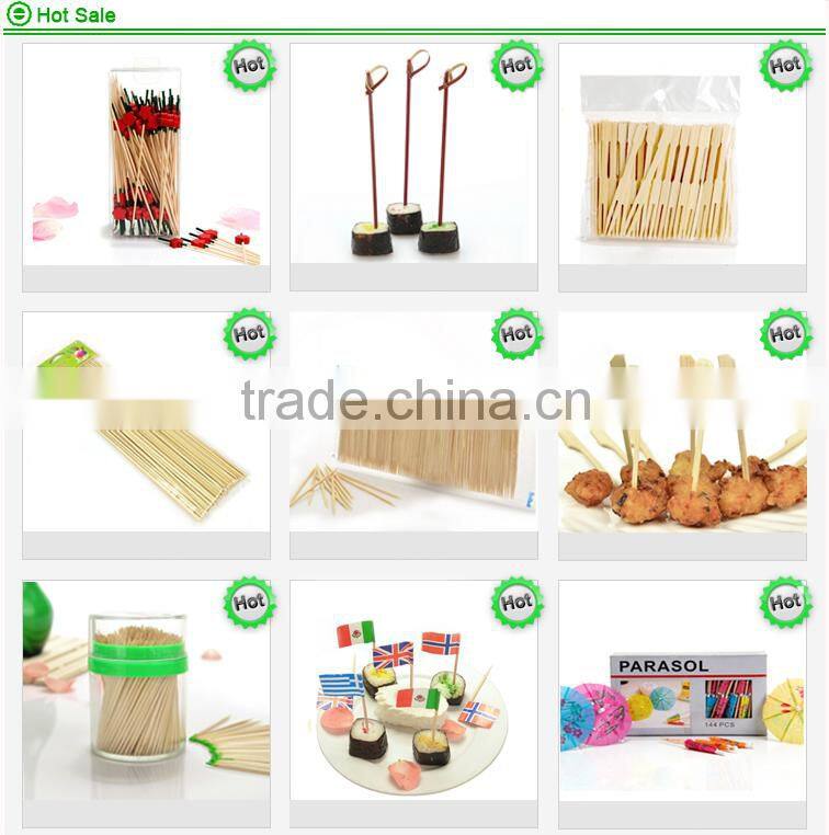 Dental white hollow plastic toothpicks