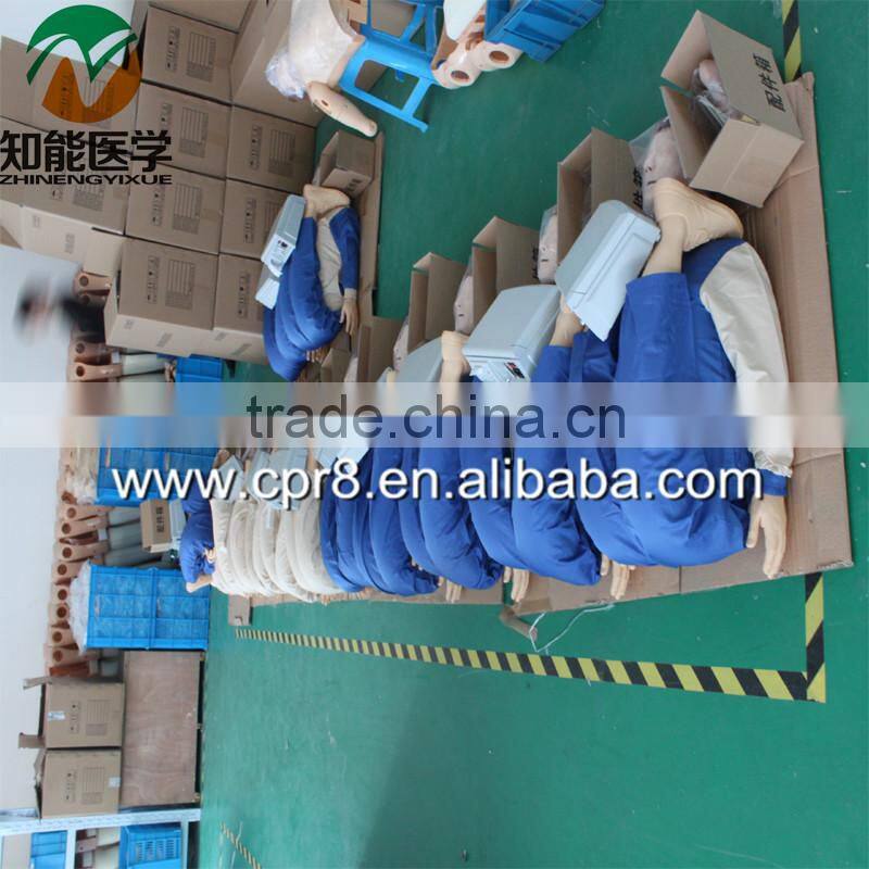 BIZ-Y1031 Horse acupuncture model