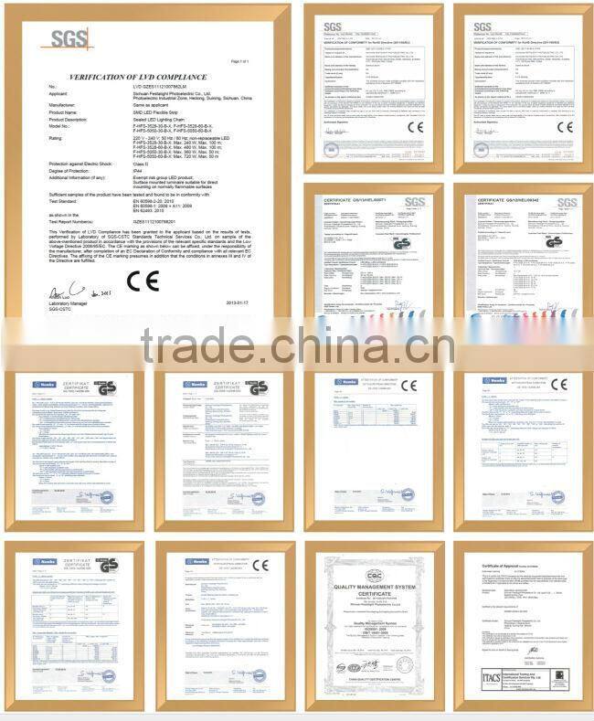 holiday wedding waterproof indoor/outdoor string lights