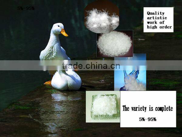 75% Washed White Duck Down