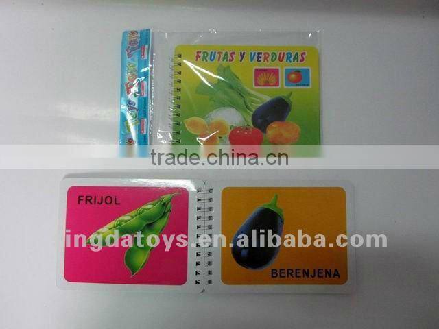 English series recognize things literacy small coil book ( Letter )