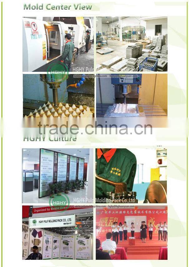 disposable baggase paper plate pulp molding machine by HGHY