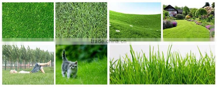 Huminrich Controlled Release Type Nitro Humic Acid