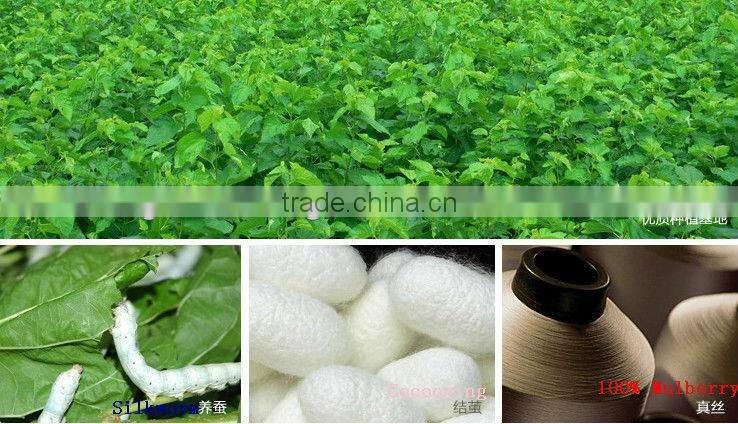 Winter Comfortable 100% Silk Quilt