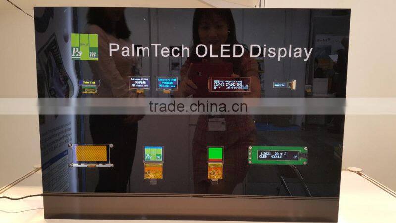 Graphic display 240x160 LCD module