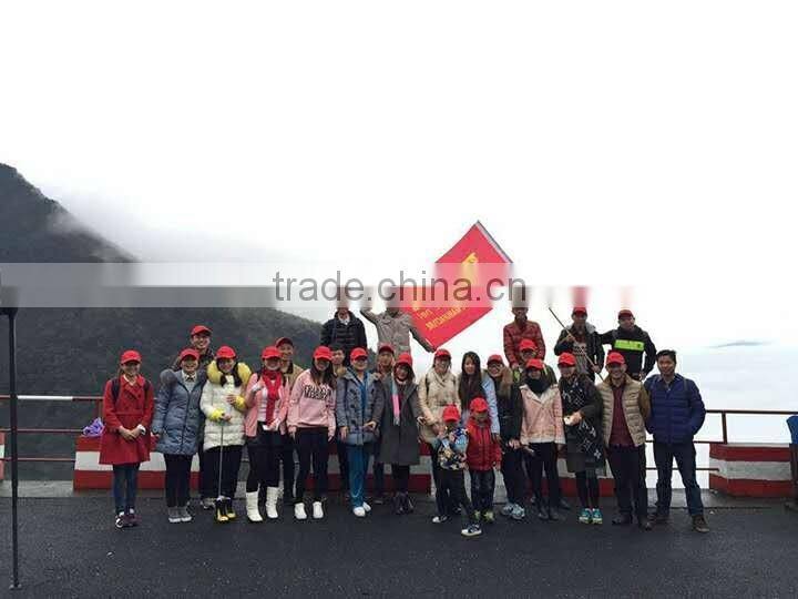 Lightweight Mini Cruiser Fish Skateboard