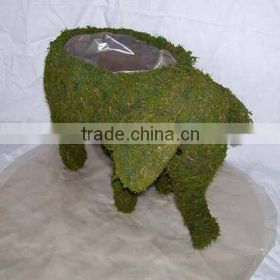 Bright bristly earthy natural materials green moss pot