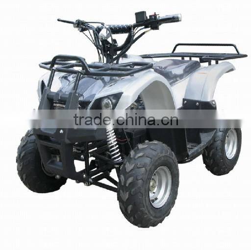 1000W Four Wheel Beach Buggy Amphibious Quad